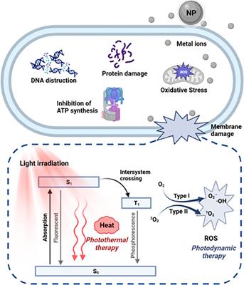 Functional insights to the development of bioactive material for combating bacterial infections